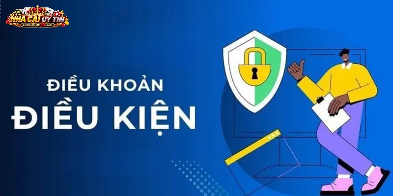 Chủ động cập nhật điều khoản để luôn nắm rõ quyền lợi