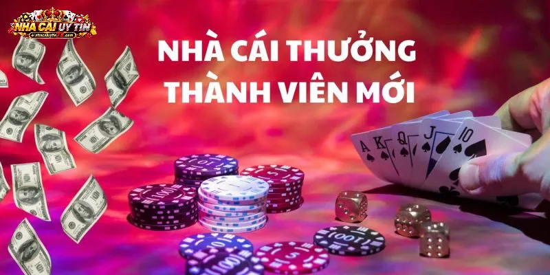 Hệ thống hỗ trợ giúp thành viên mới dễ làm quen nền tảng