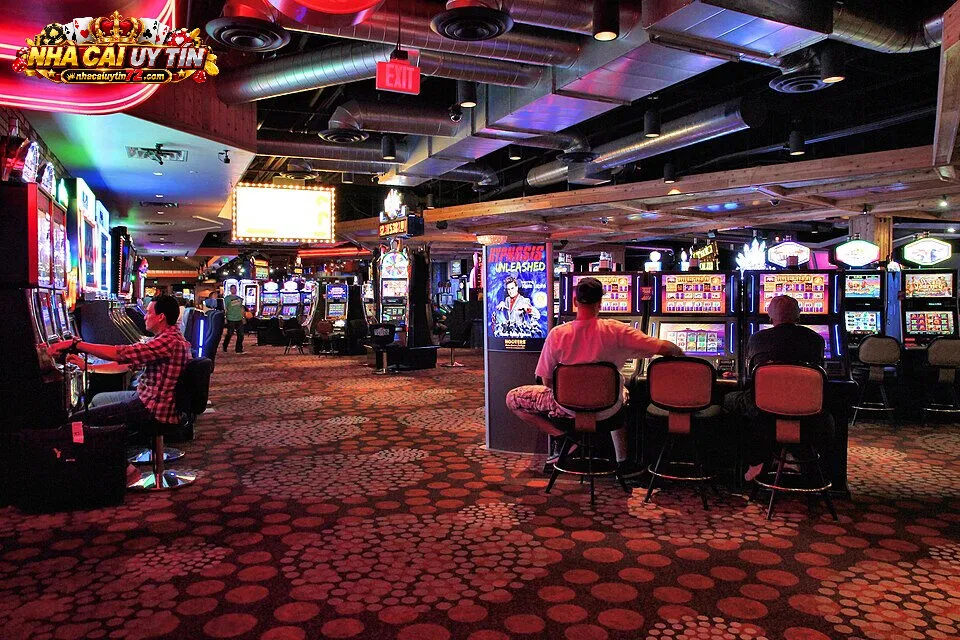 Khái quát về Fo88 và Topbet