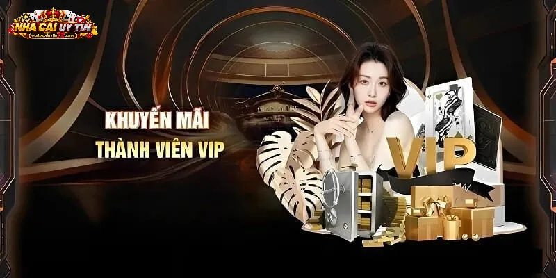 Các nhóm ưu đãi nên được phân chia rõ ràng để dễ theo dõi